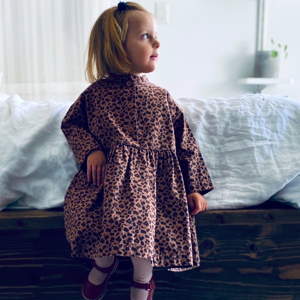 Wynken dress 2T